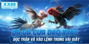 Đá Gà Cựa Dao XX88 – Đọc Trận Và Vào Lệnh Trong Vài Giây